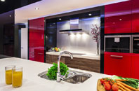 Cwrt Y Cadno kitchen extensions